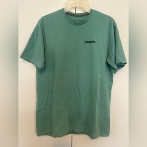 Patagonia shirt